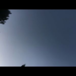 Meet your Posher, Dee